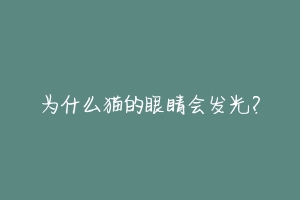 为什么猫的眼睛会发光？