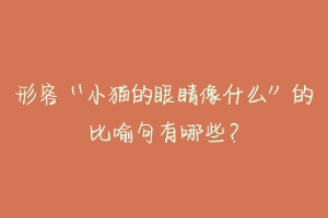 形容“小猫的眼睛像什么”的比喻句有哪些？