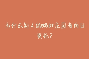 为什么别人的蚂蚁庄园有向日葵花？