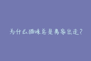 为什么猫咪总是离家出走？