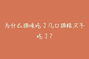 为什么猫咪吃了几口猫粮又不吃了？