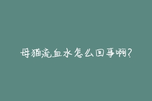 母猫流血水怎么回事啊？