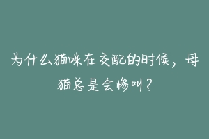 为什么猫咪在交配的时候，母猫总是会惨叫？