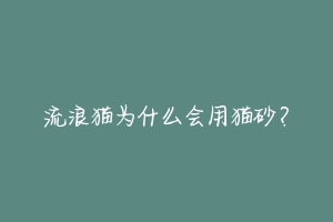 流浪猫为什么会用猫砂？