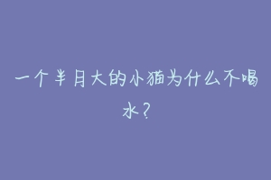 一个半月大的小猫为什么不喝水？