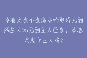 泰迪犬会不会像小哈那样见到陌生人比见到主人还亲。泰迪犬忠于主人吗？