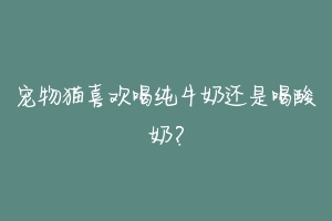 宠物猫喜欢喝纯牛奶还是喝酸奶？