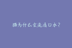 猫为什么会流清口水？