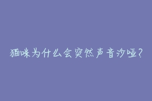 猫咪为什么会突然声音沙哑？