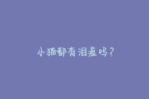 小猫都有泪痕吗？