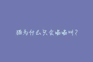 猫为什么只会喵喵叫？