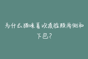 为什么猫咪喜欢摸脸颊两侧和下巴？