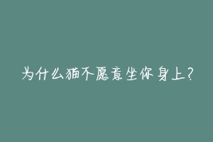 为什么猫不愿意坐你身上？