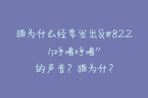 猫为什么经常发出”呼噜呼噜”的声音？猫为什？