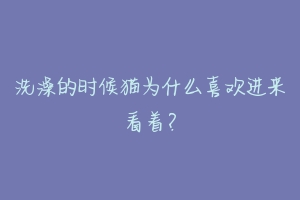 洗澡的时候猫为什么喜欢进来看着？