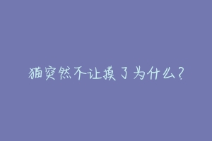 猫突然不让摸了为什么？