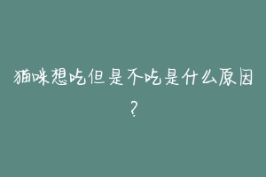 猫咪想吃但是不吃是什么原因？