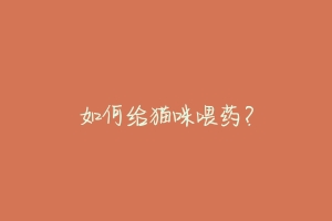 如何给猫咪喂药？