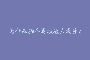 为什么猫不喜欢被人摸手？