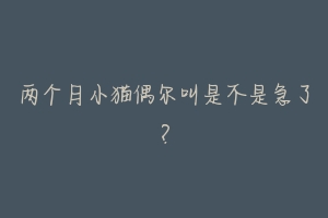 两个月小猫偶尔叫是不是急了？