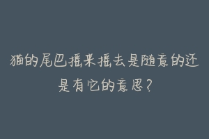 猫的尾巴摇来摇去是随意的还是有它的意思？