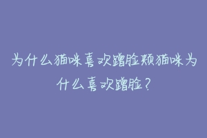 为什么猫咪喜欢蹭脸颊猫咪为什么喜欢蹭脸？