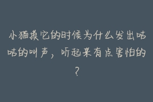 小猫摸它的时候为什么发出咕咕的叫声，听起来有点害怕的？