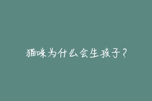 猫咪为什么会生孩子？