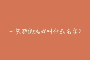 一只猫的游戏叫什么名字？