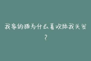 我家的猫为什么喜欢舔我头发？