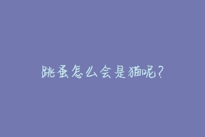 跳蚤怎么会是猫呢？