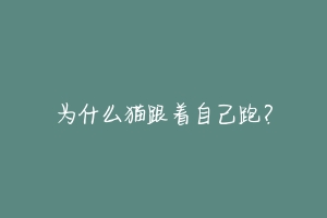 为什么猫跟着自己跑？