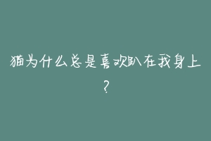 猫为什么总是喜欢趴在我身上？