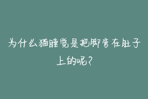 为什么猫睡觉是把脚弯在肚子上的呢？