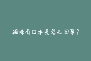 猫咪有口水是怎么回事？