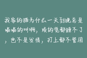 我家的猫为什么一天到晚总是喵喵的叫啊，烦的觉都睡不了，也不是发情，打上都不管用，这是怎么回事啊，都？