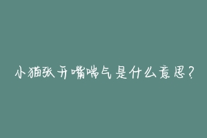 小猫张开嘴喘气是什么意思？