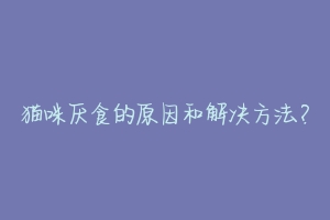 猫咪厌食的原因和解决方法？