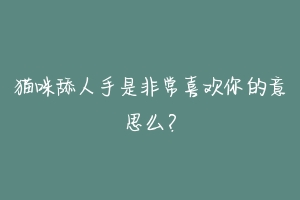 猫咪舔人手是非常喜欢你的意思么？