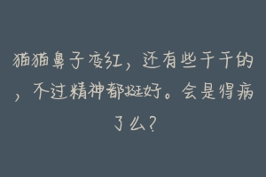 猫猫鼻子变红，还有些干干的，不过精神都挺好。会是得病了么？