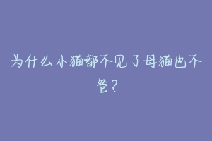 为什么小猫都不见了母猫也不管？