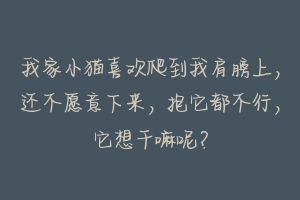 我家小猫喜欢爬到我肩膀上，还不愿意下来，抱它都不行，它想干嘛呢？