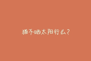 猫不晒太阳行么？