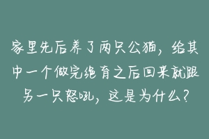 家里先后养了两只公猫，给其中一个做完绝育之后回来就跟另一只怒吼，这是为什么？