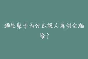 猫生崽子为什么被人看到会搬家？