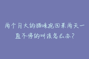 两个月大的猫咪抱回来两天一直不停的叫该怎么办？