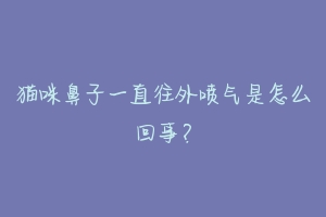 猫咪鼻子一直往外喷气是怎么回事？