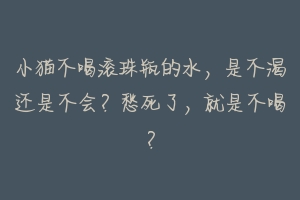 小猫不喝滚珠瓶的水，是不渴还是不会？愁死了，就是不喝？