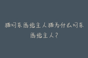 猫叼东西给主人猫为什么叼东西给主人？