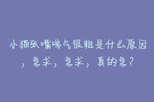 小猫张嘴喘气很粗是什么原因，急求，急求，真的急？